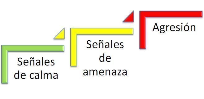 avance en los escalones de la comunicación canina