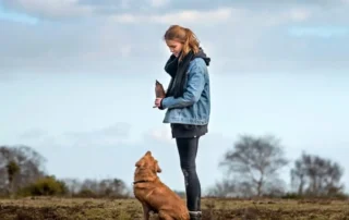 consejos para iniciarse en adiestramiento canino