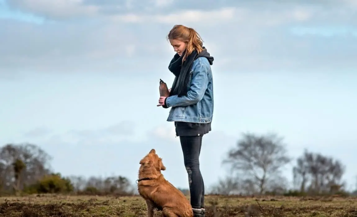 consejos para iniciarse en adiestramiento canino