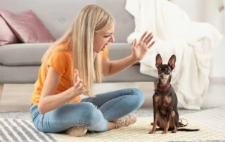 gritar no al perro