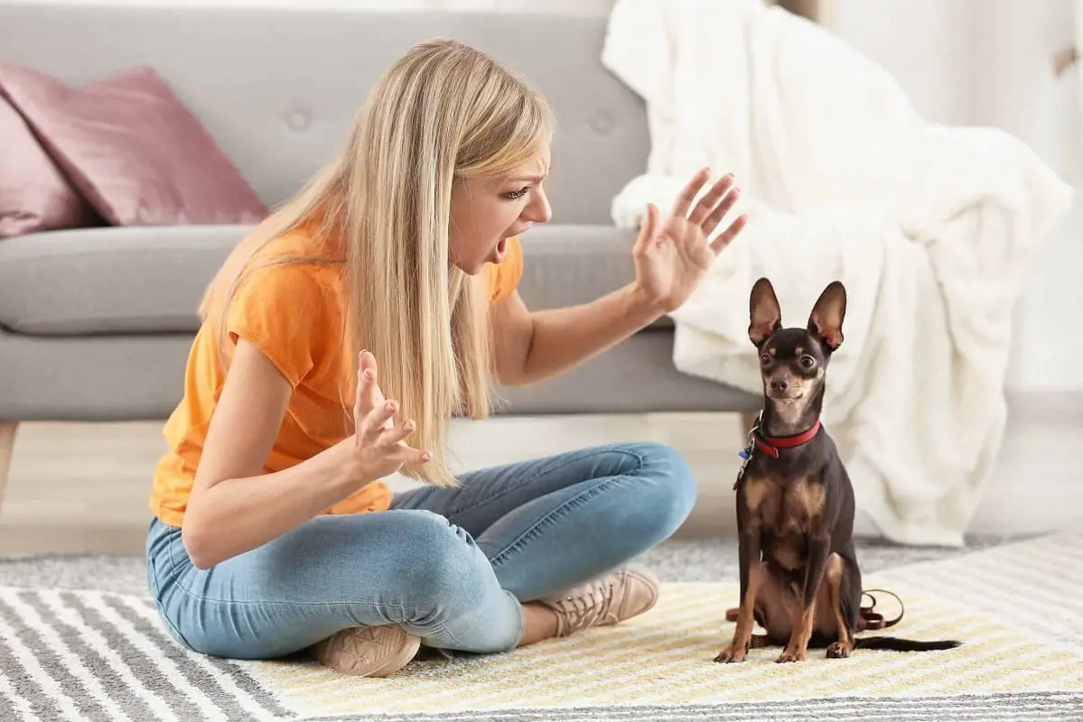 gritar no al perro