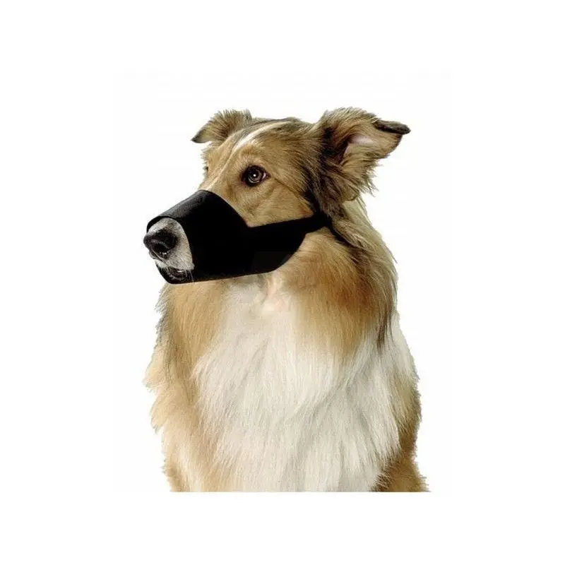 perro con bozal en verano