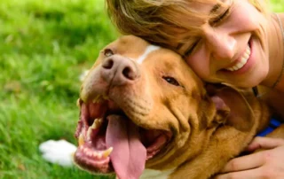 vínculo entre perro y persona