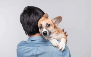 percibir el estrés en tu perro