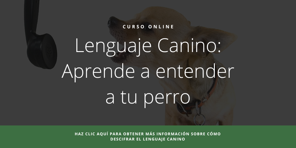 Curso online Lenguaje Canino