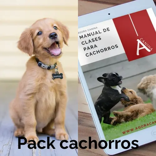 Pack educación de cachorros