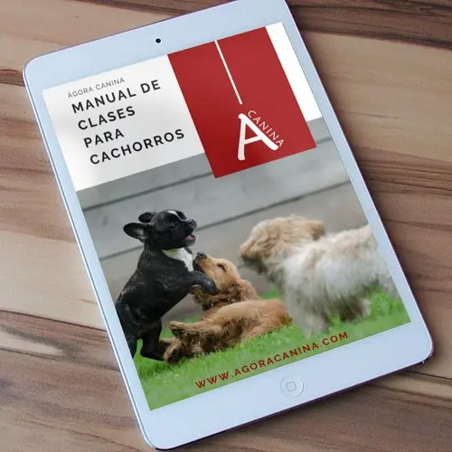 Manual de clases para cachorros